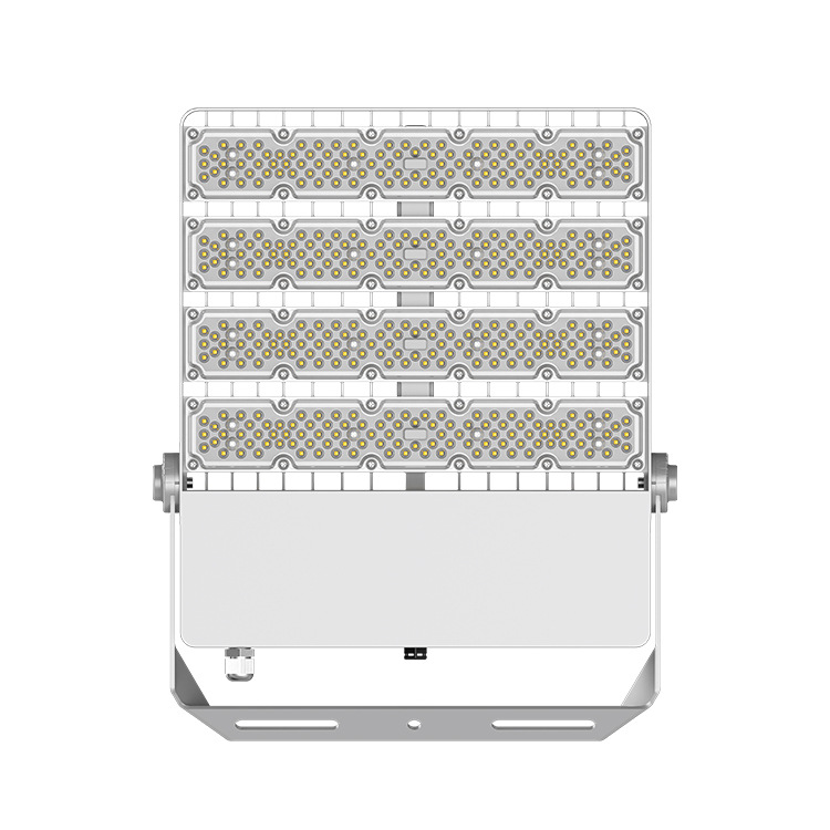 Heavy Aurora LED Flood Light