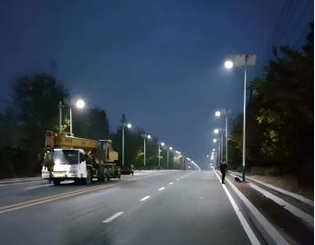 Projet de lampadaires solaires Sirius en Tanzanie (2024) : livraison réussie de 490 ensembles.